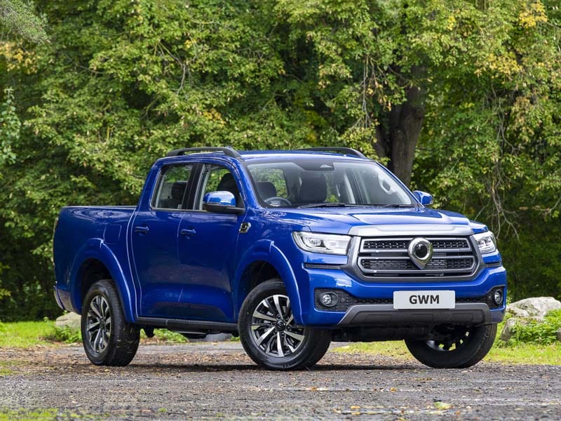 Brand New 75 GWM Poer300