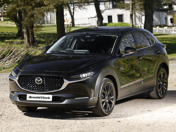 76 Mazda Cx-30 2.5 e-Skyactiv G MHEV [140] Homura 5dr Auto
